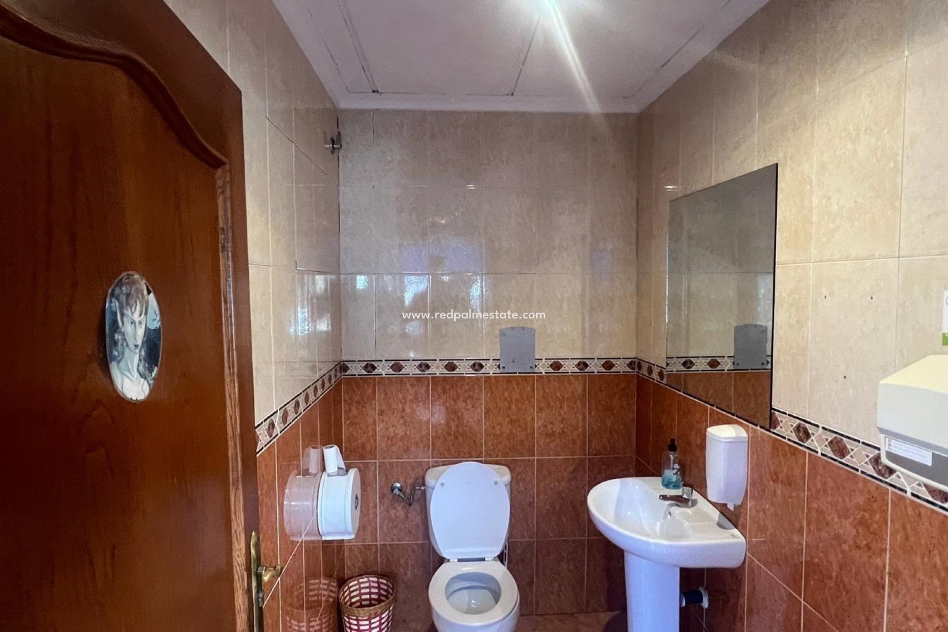 Revente - Entreprise -
Torrevieja - Centro Torrevieja