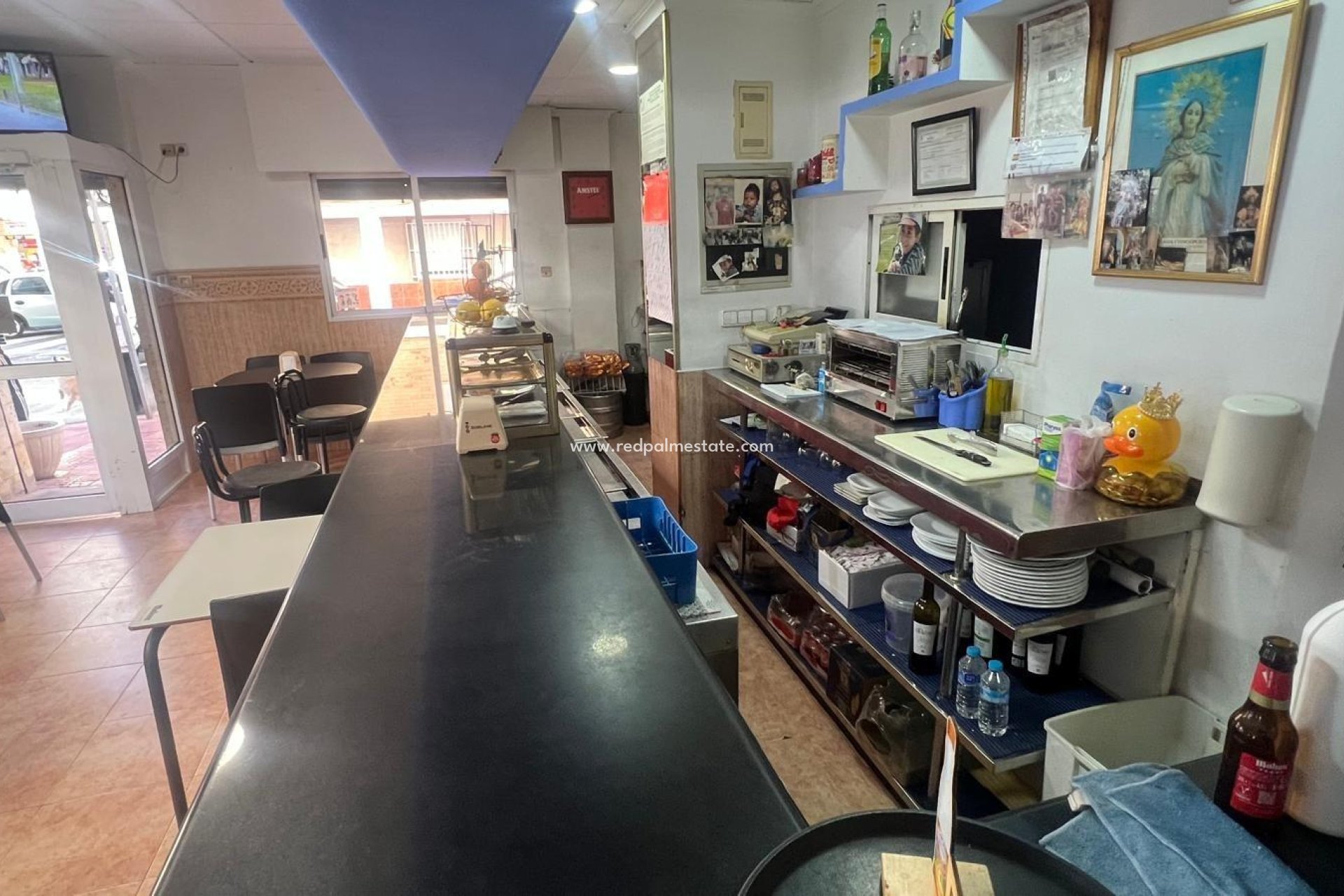 Revente - Entreprise -
Torrevieja - Centro Torrevieja