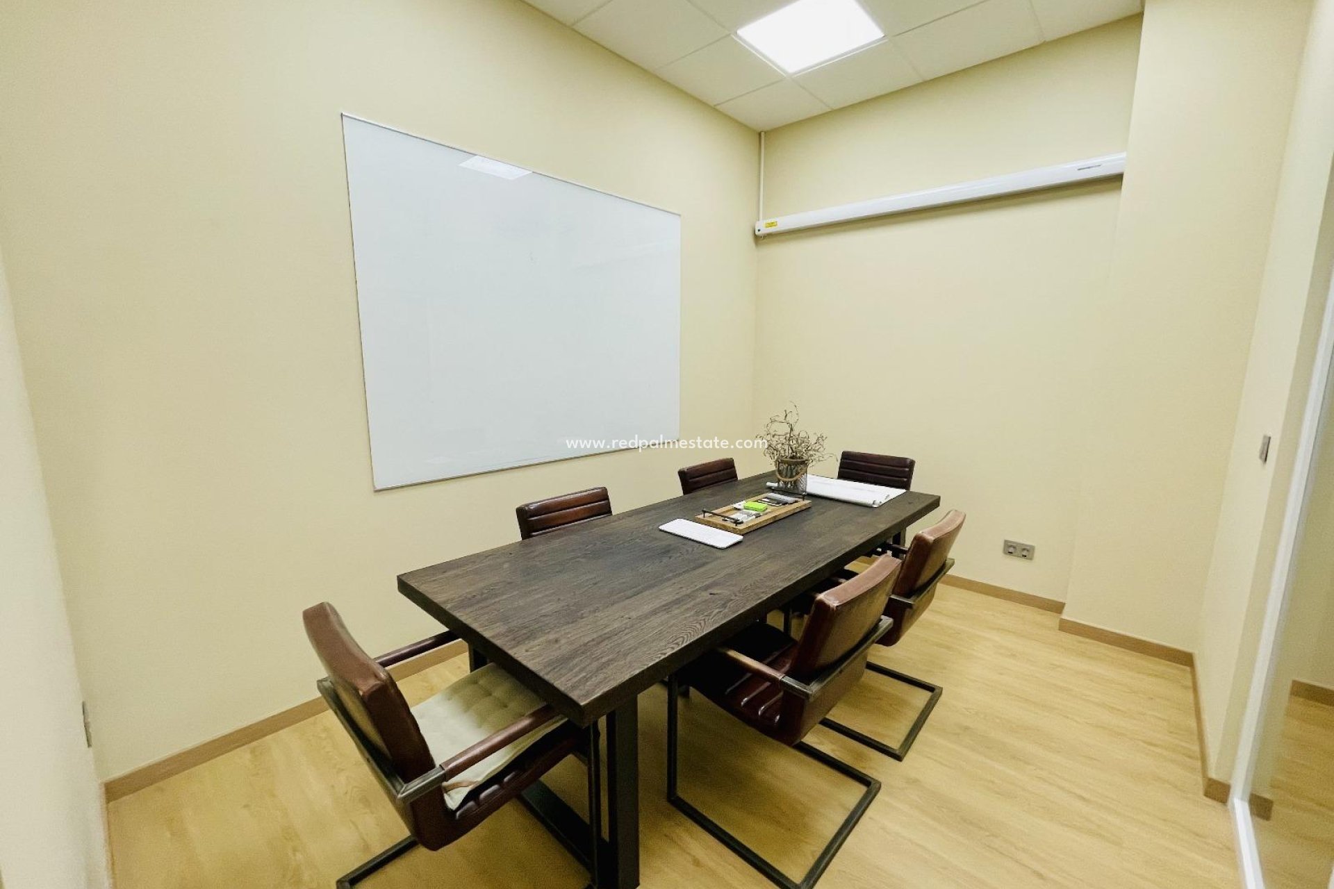 Revente - Entreprise -
Torrevieja - Centro Torrevieja