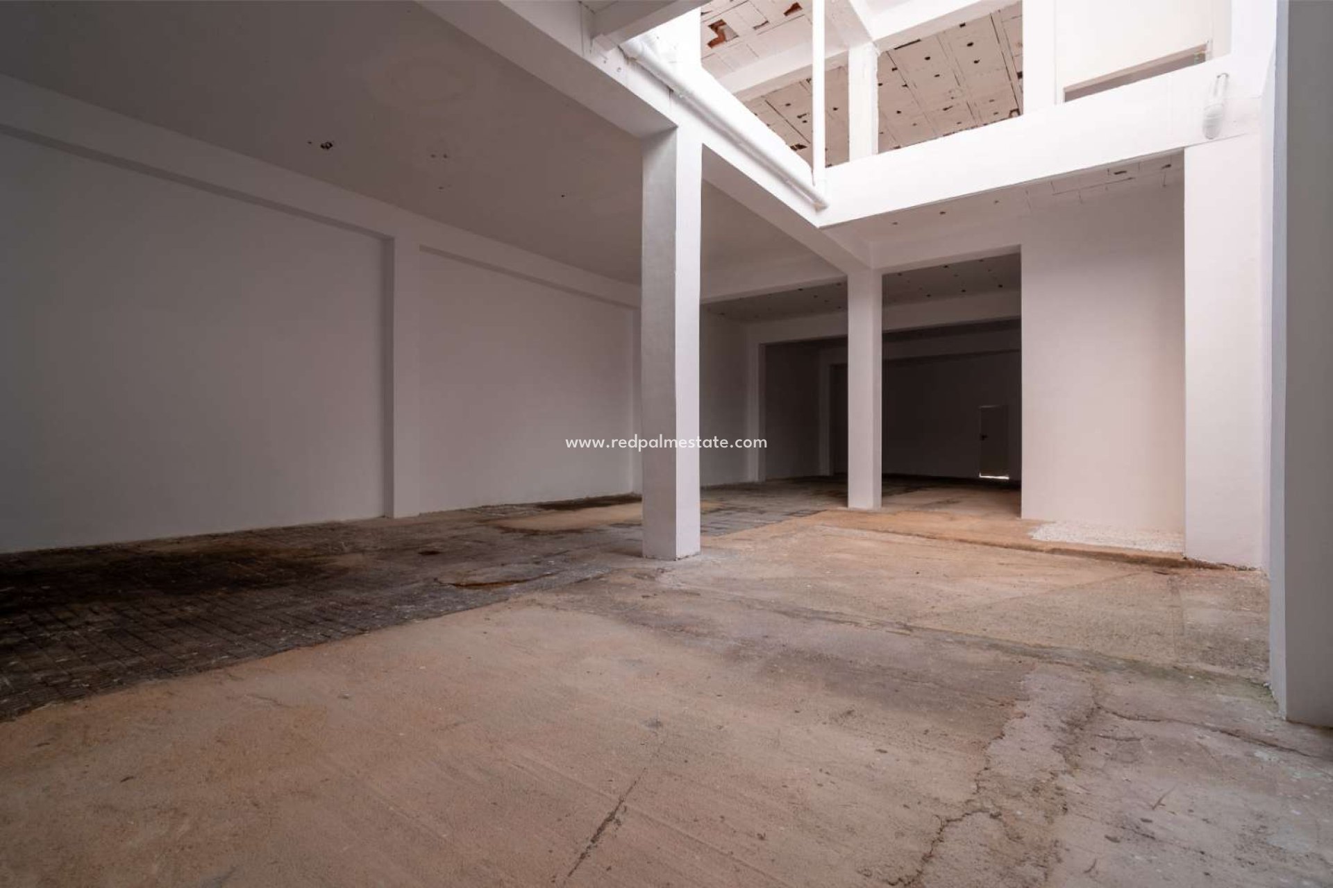 Revente - Entreprise -
Torrevieja - Centro Torrevieja