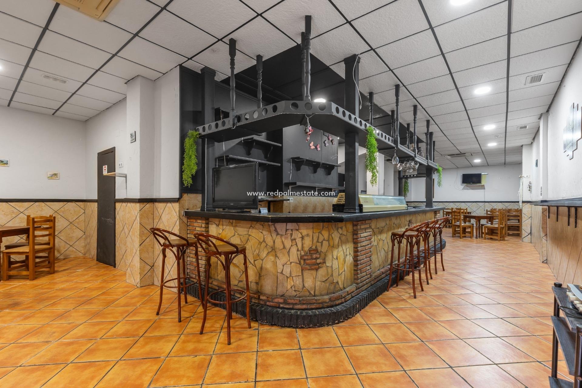 Revente - Entreprise -
Torrevieja - Centro Torrevieja