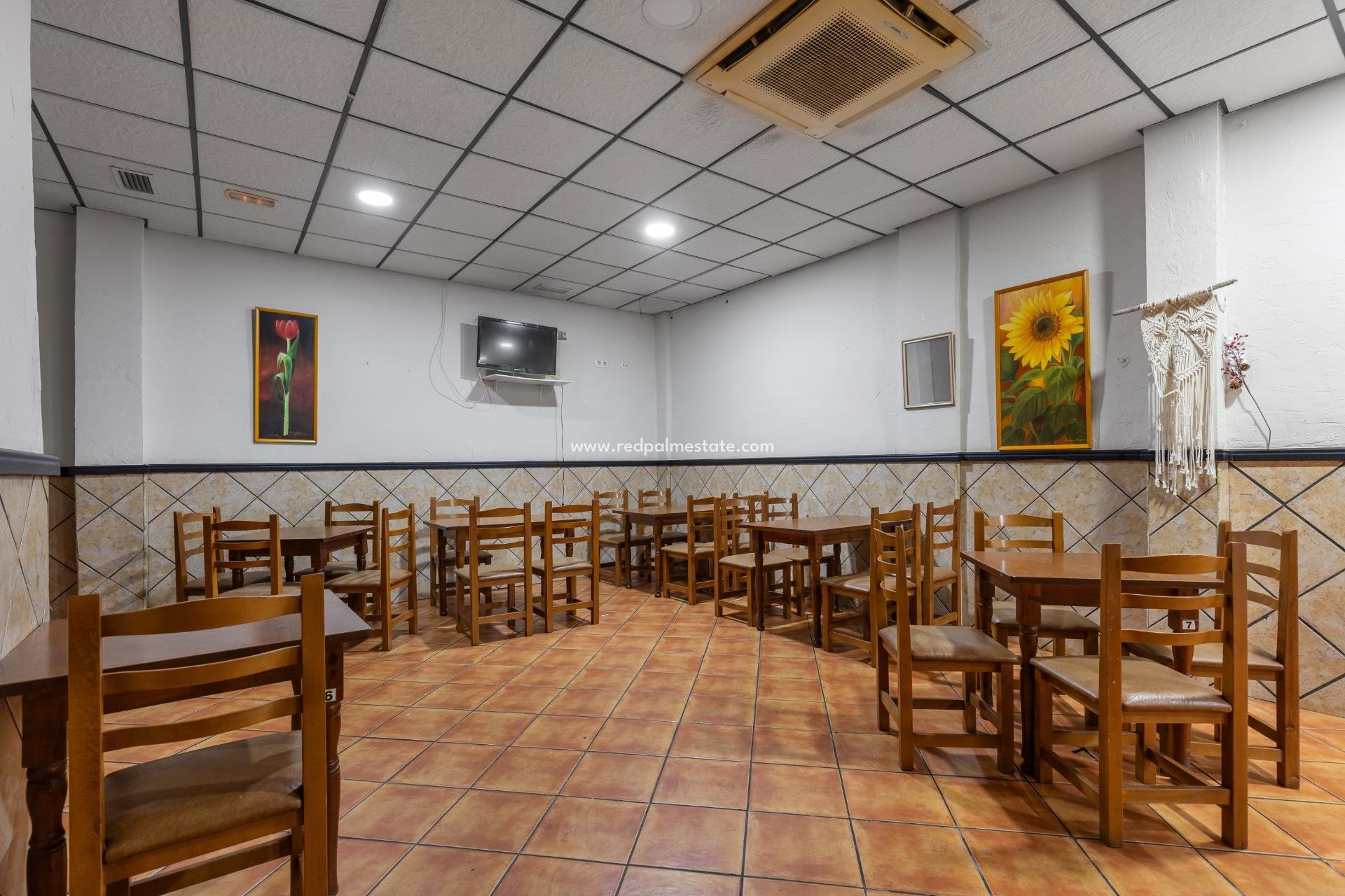 Revente - Entreprise -
Torrevieja - Centro Torrevieja