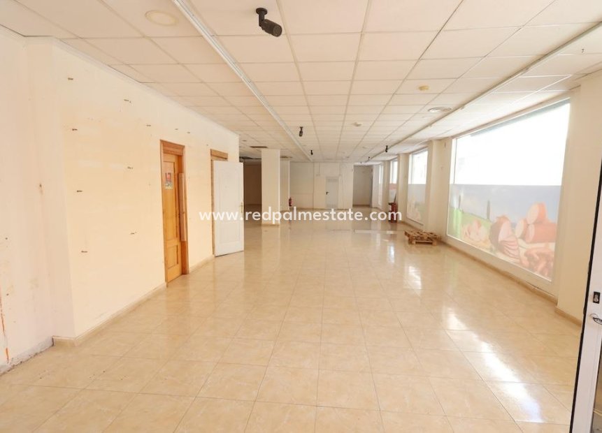 Revente - Entreprise -
Torrevieja - Centro Torrevieja