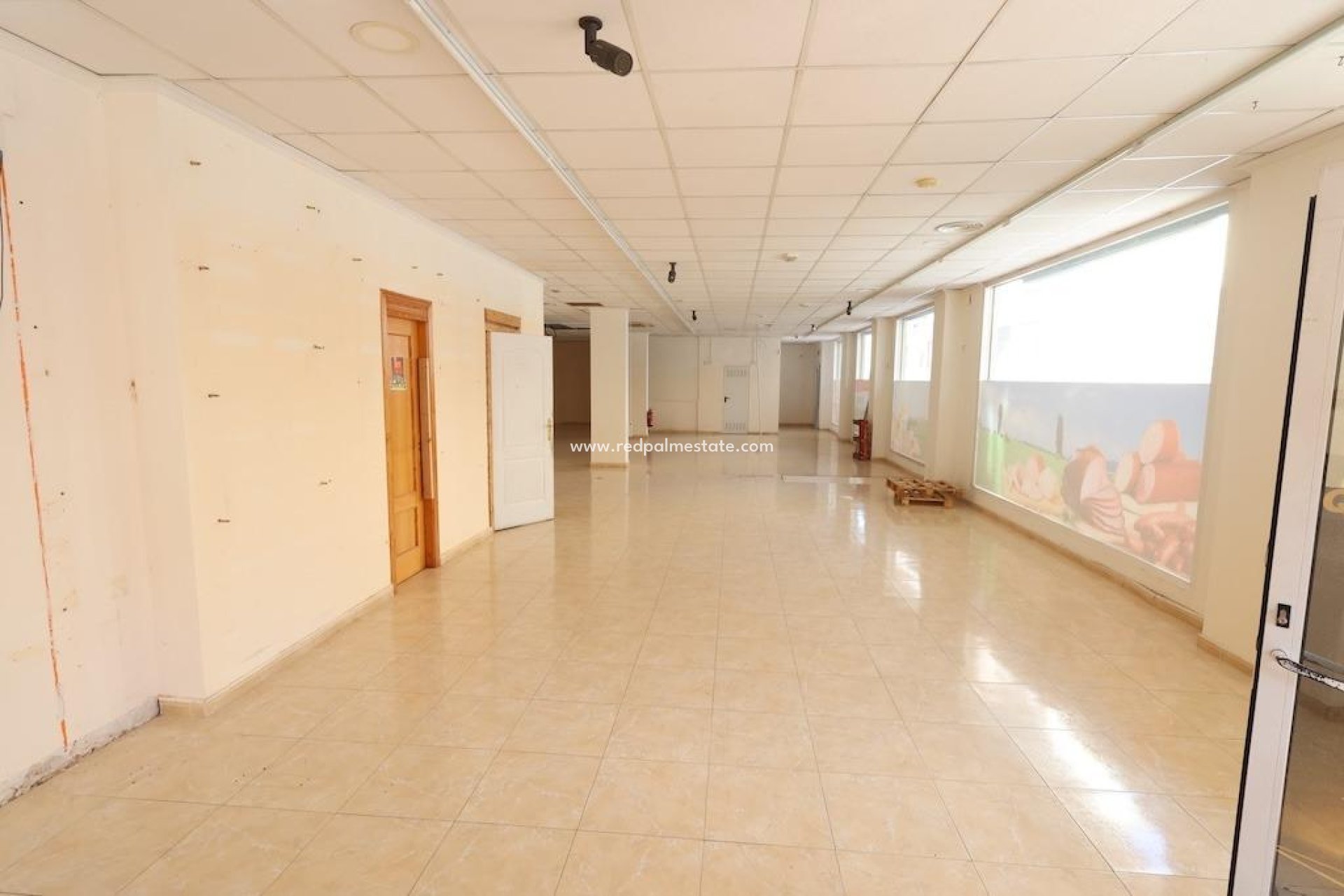 Revente - Entreprise -
Torrevieja - Centro Torrevieja