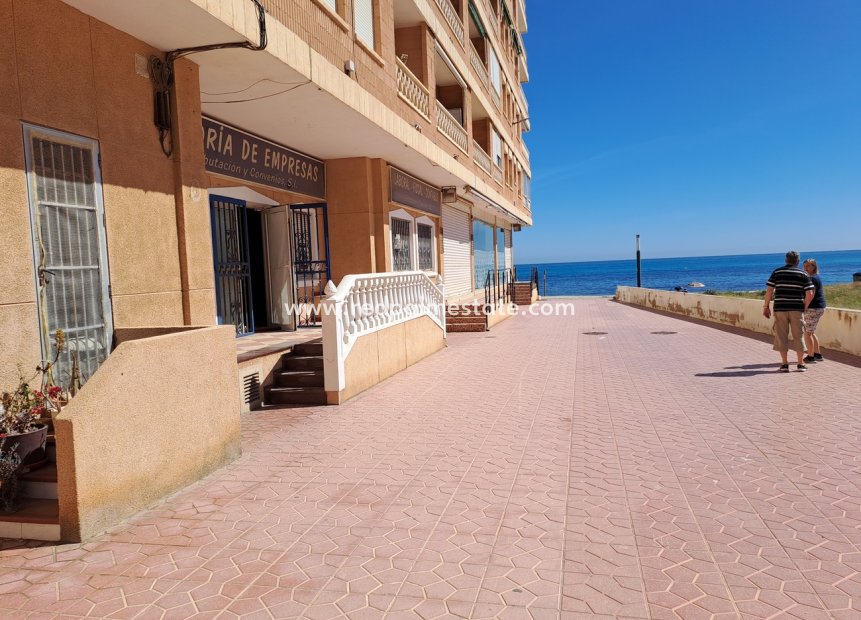Revente - Entreprise -
Torrevieja - Costa Blanca
