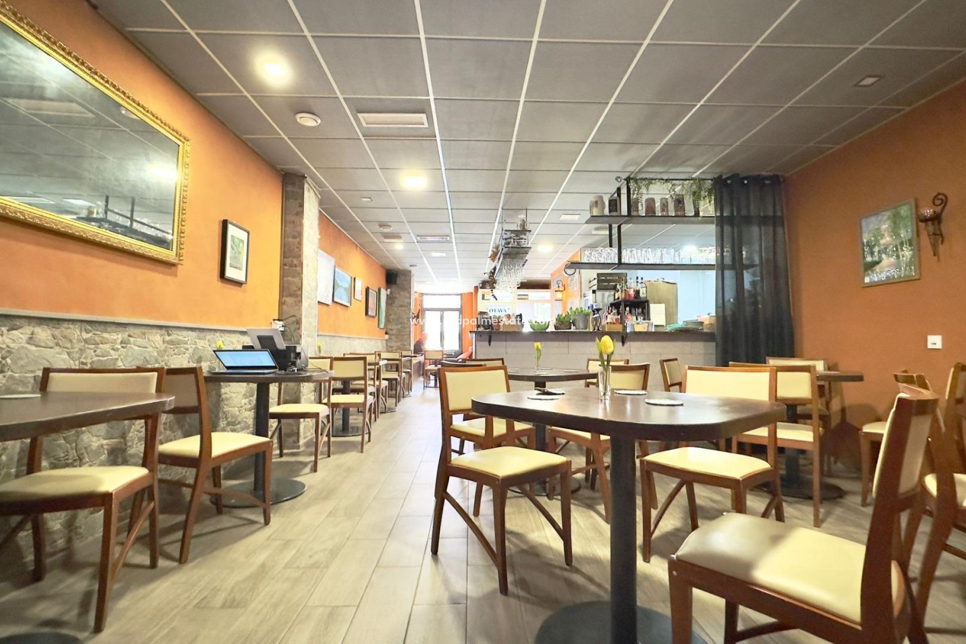Revente - Entreprise -
Torrevieja - El Acequión - Los Náufragos