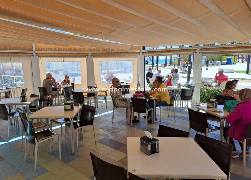 Revente - Entreprise -
Torrevieja - La Mata