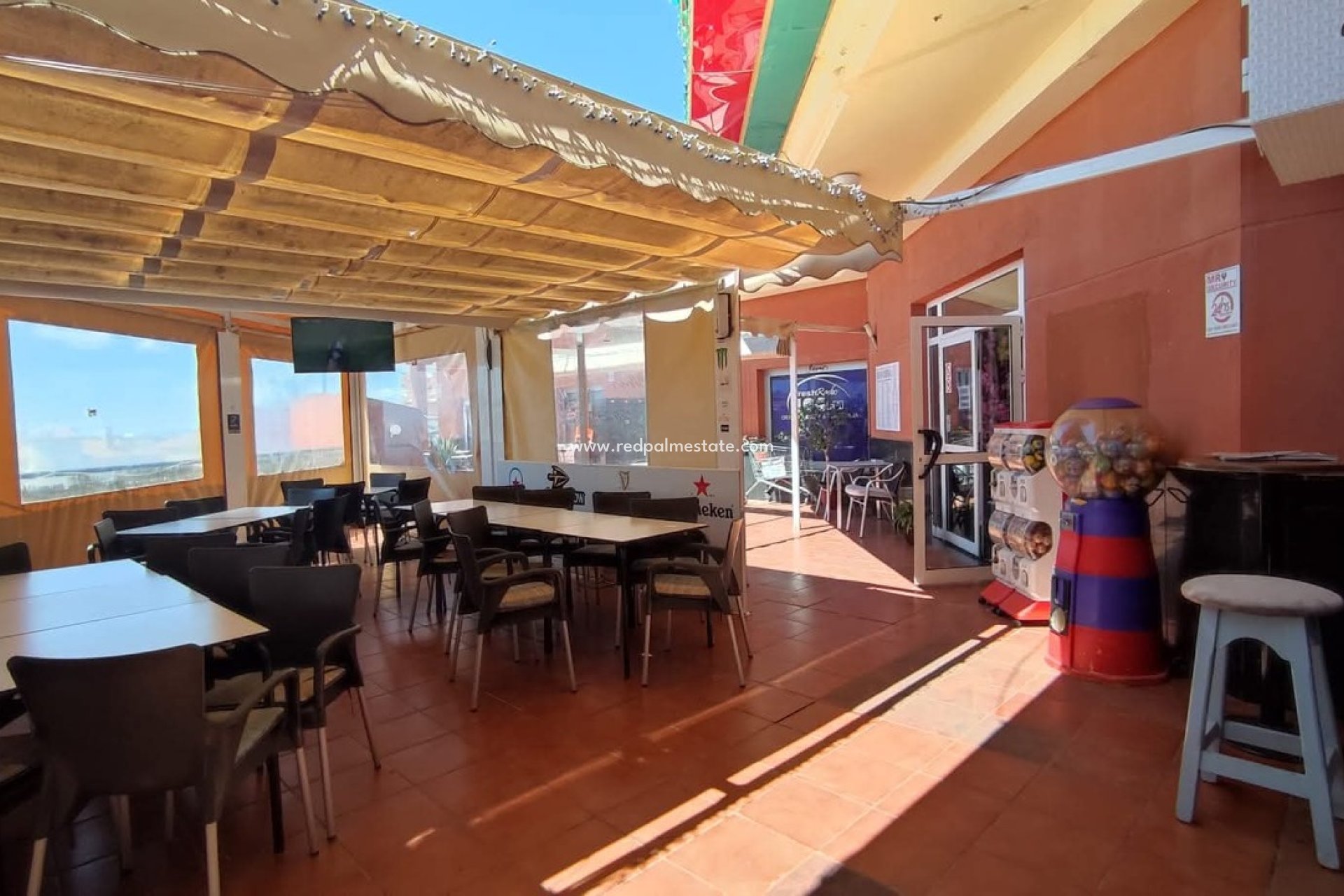 Revente - Entreprise -
Torrevieja - Los Altos