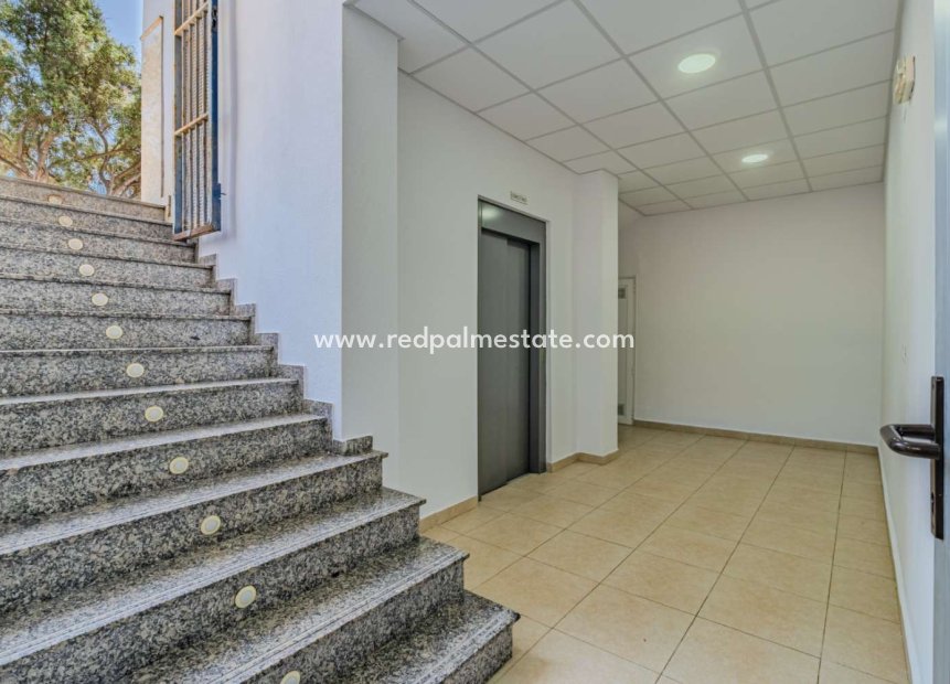 Revente - Entreprise -
Torrevieja - Nueva Torrevieja - Aguas Nuevas