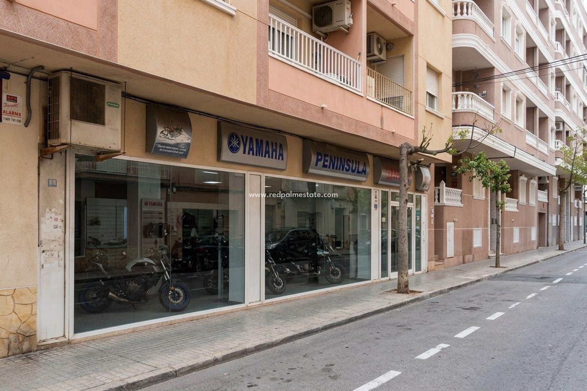 Revente - Entreprise -
Torrevieja - Playa del Cura