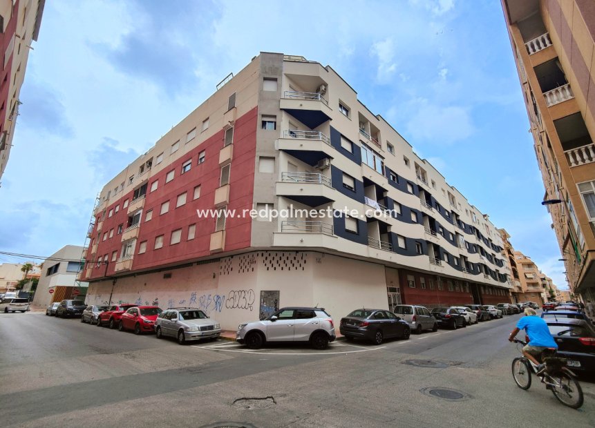 Revente - Entreprise -
Torrevieja