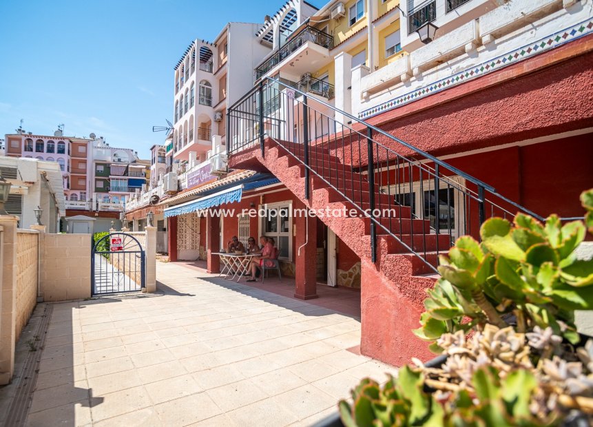 Revente - Entreprise -
Torrevieja