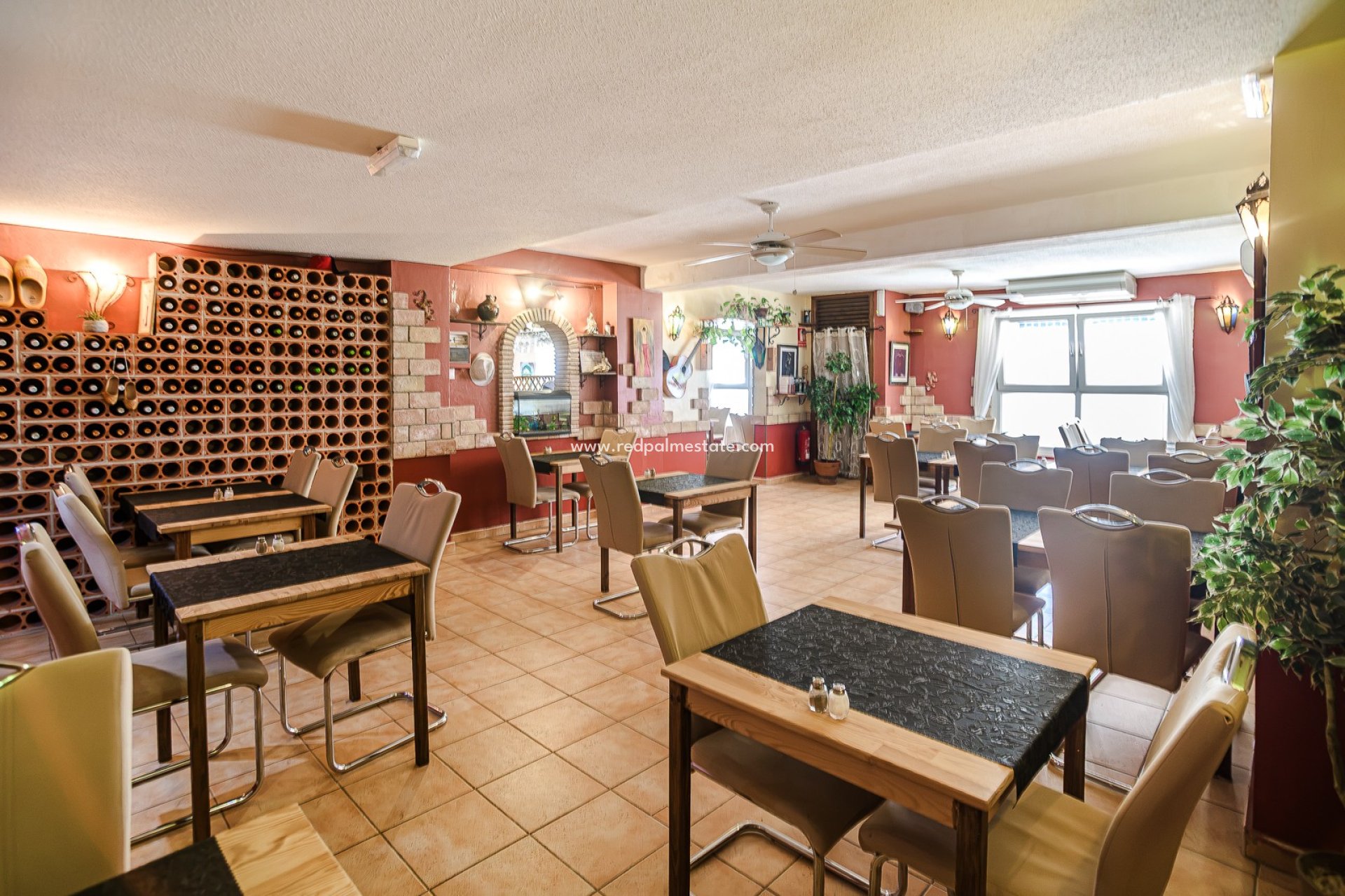 Revente - Entreprise -
Torrevieja