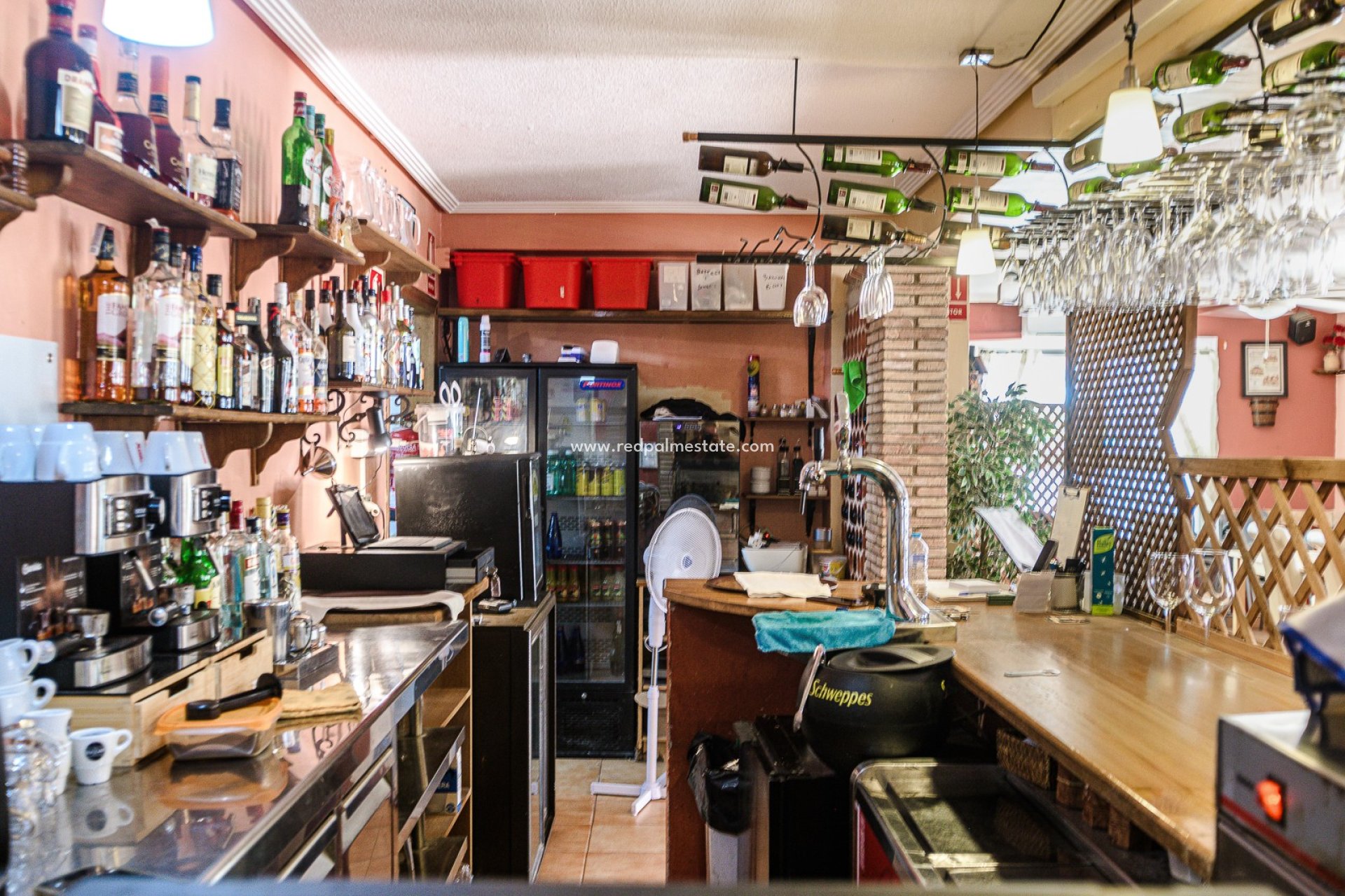 Revente - Entreprise -
Torrevieja