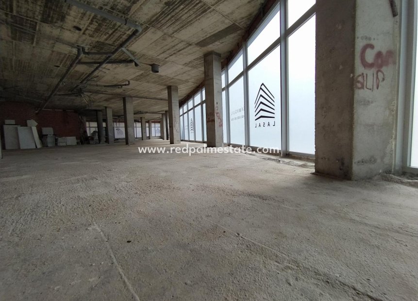 Revente - Entreprise -
Torrevieja