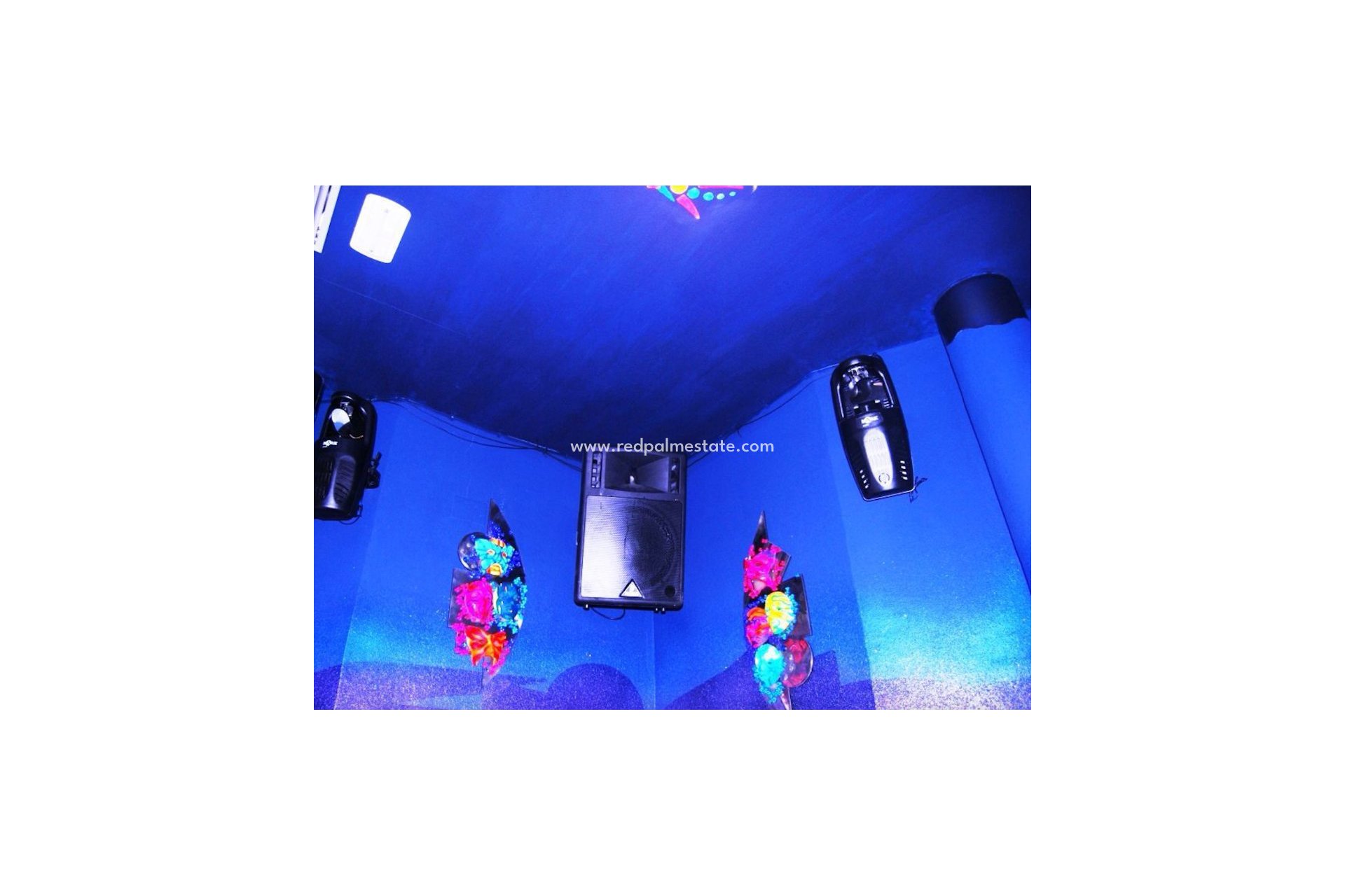 Revente - Entreprise -
Torrevieja