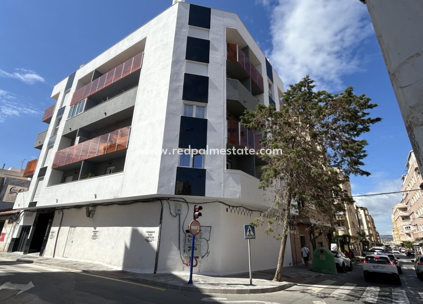 Revente - Entreprise -
Torrevieja