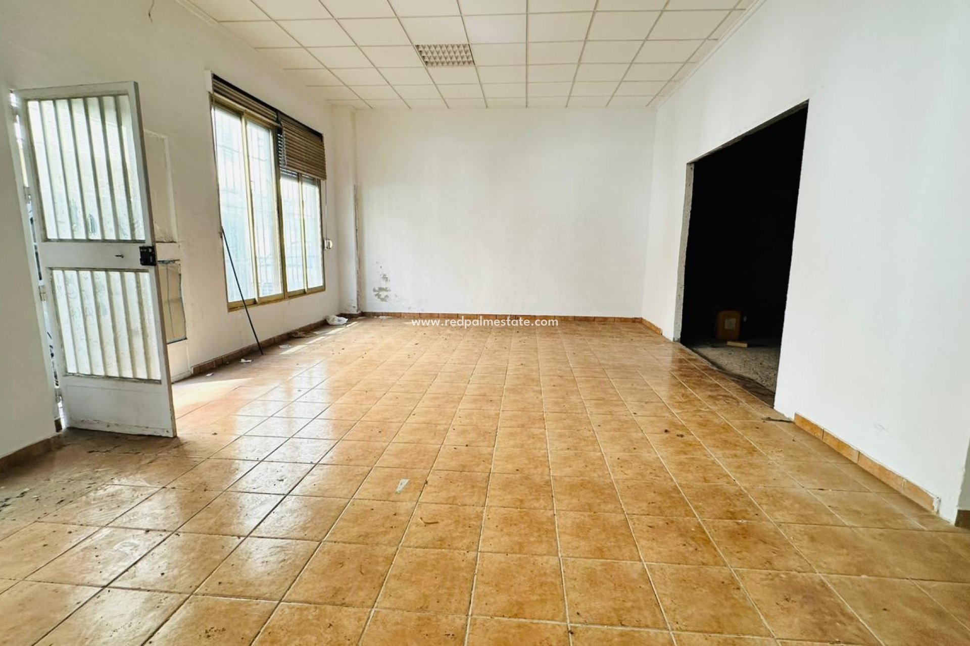 Revente - Entreprise -
Torrevieja