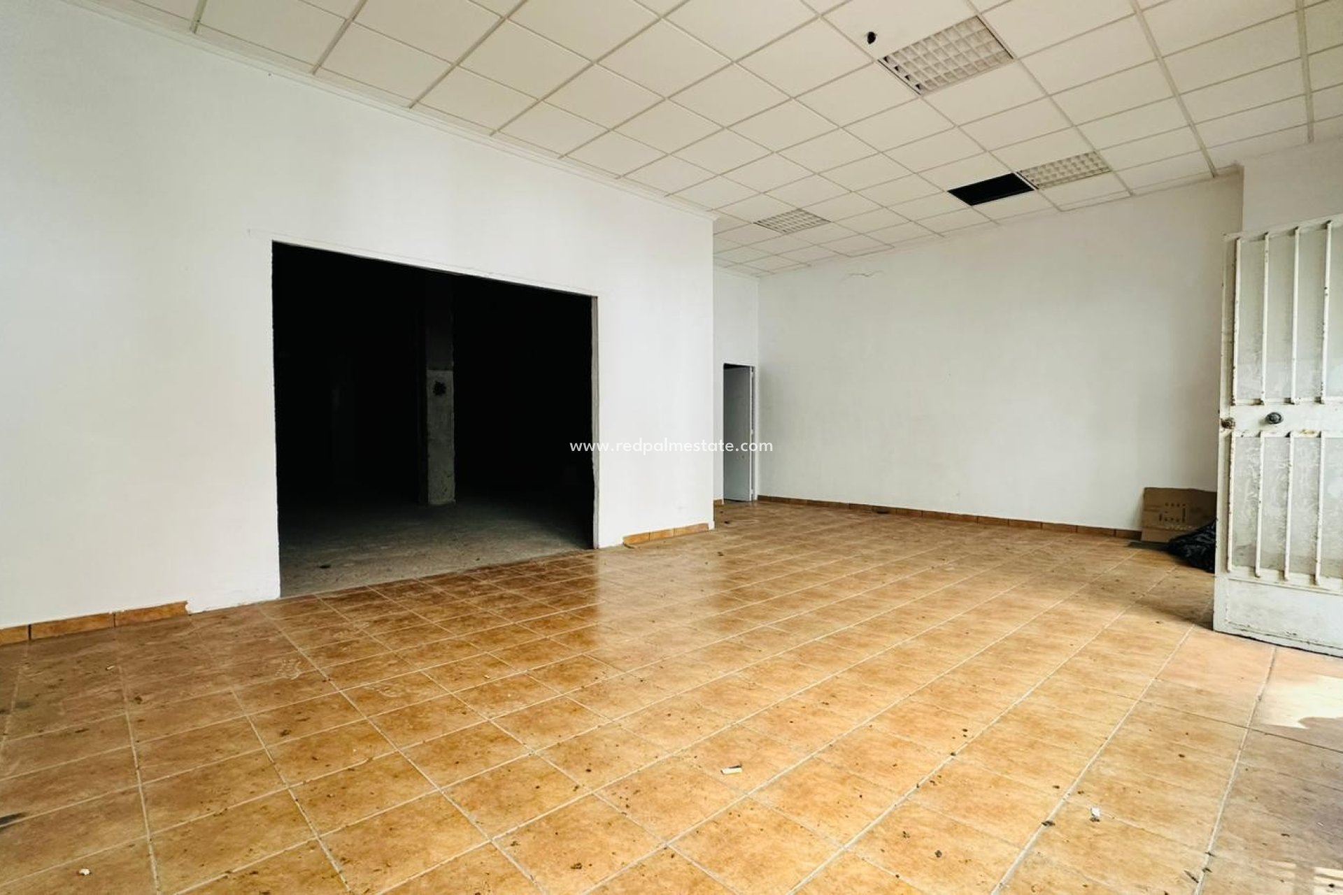 Revente - Entreprise -
Torrevieja