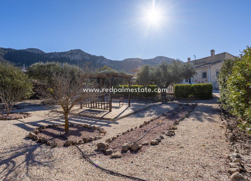 Revente - Finca - Country Property -
La Zarza