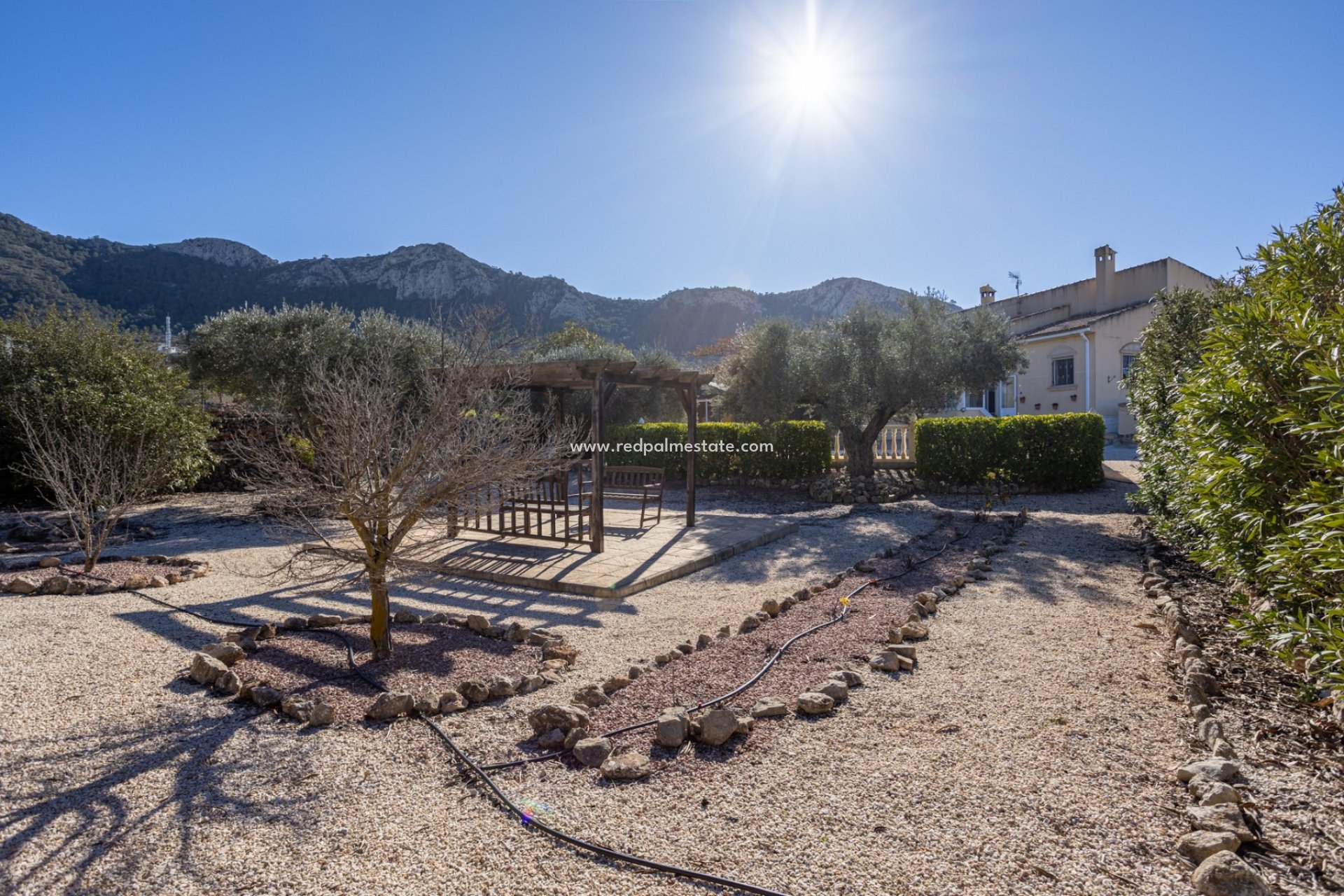 Revente - Finca - Country Property -
La Zarza