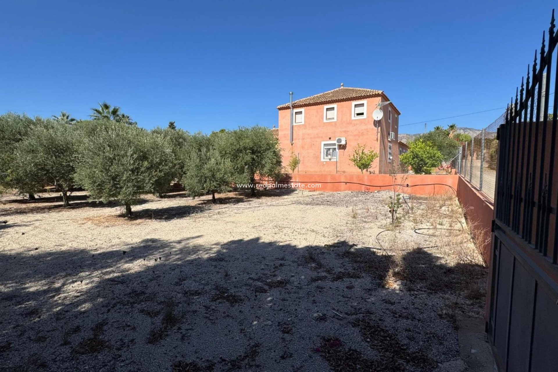 Revente - Finca / Propriété de campagne -
Albatera - BARRANCO SAN CAYETANO