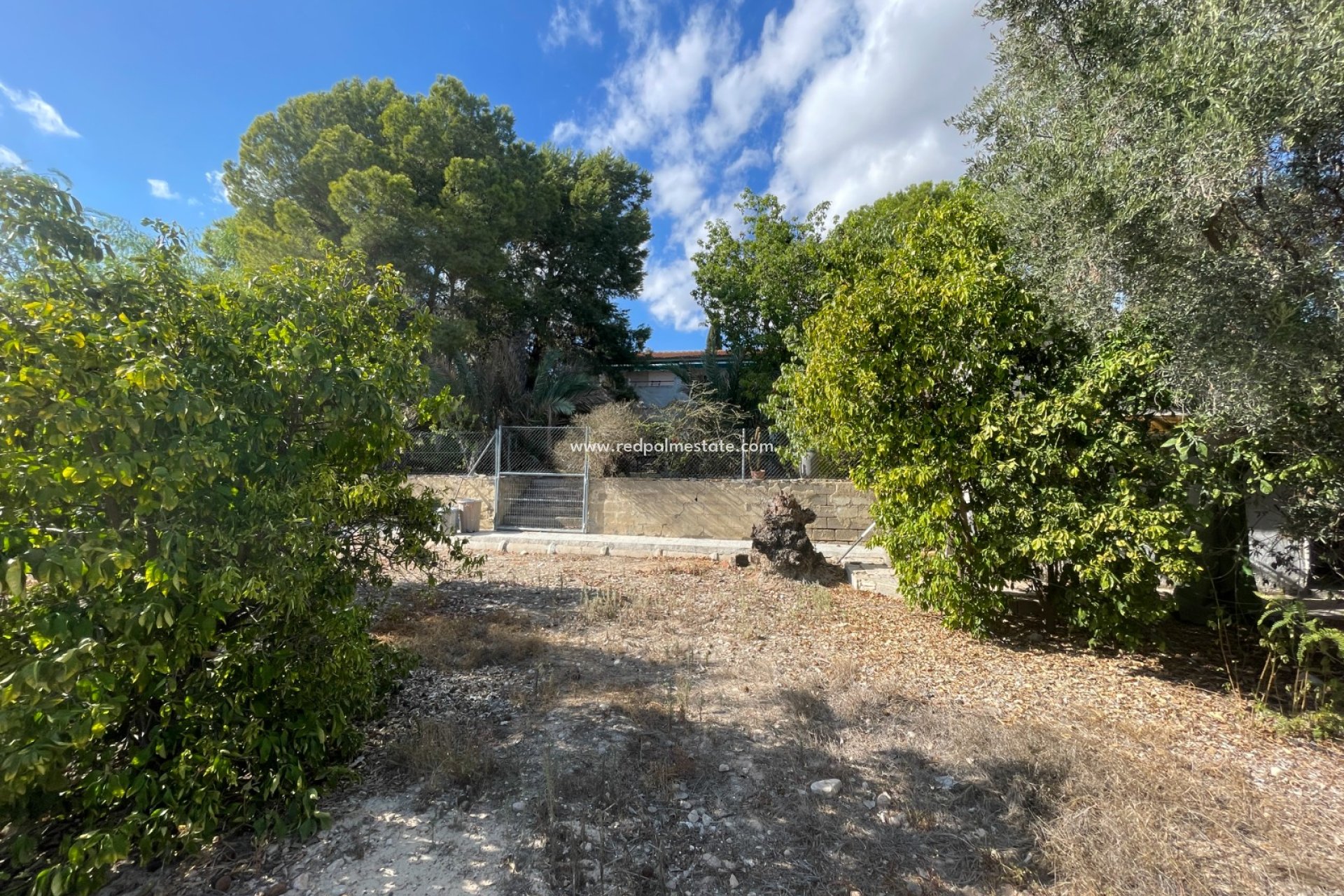 Revente - Finca / Propriété de campagne -
Albatera - Inland