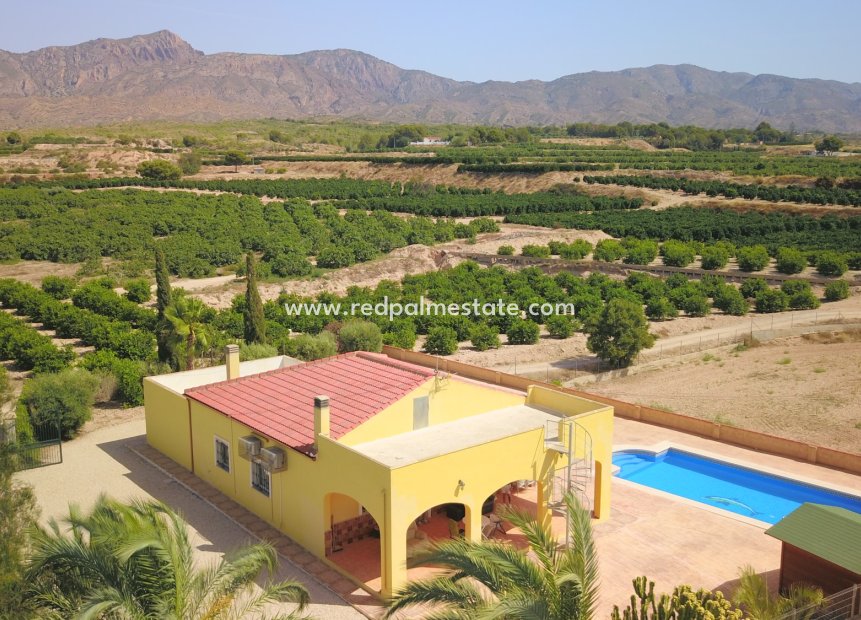 Revente - Finca / Propriété de campagne -
Albatera