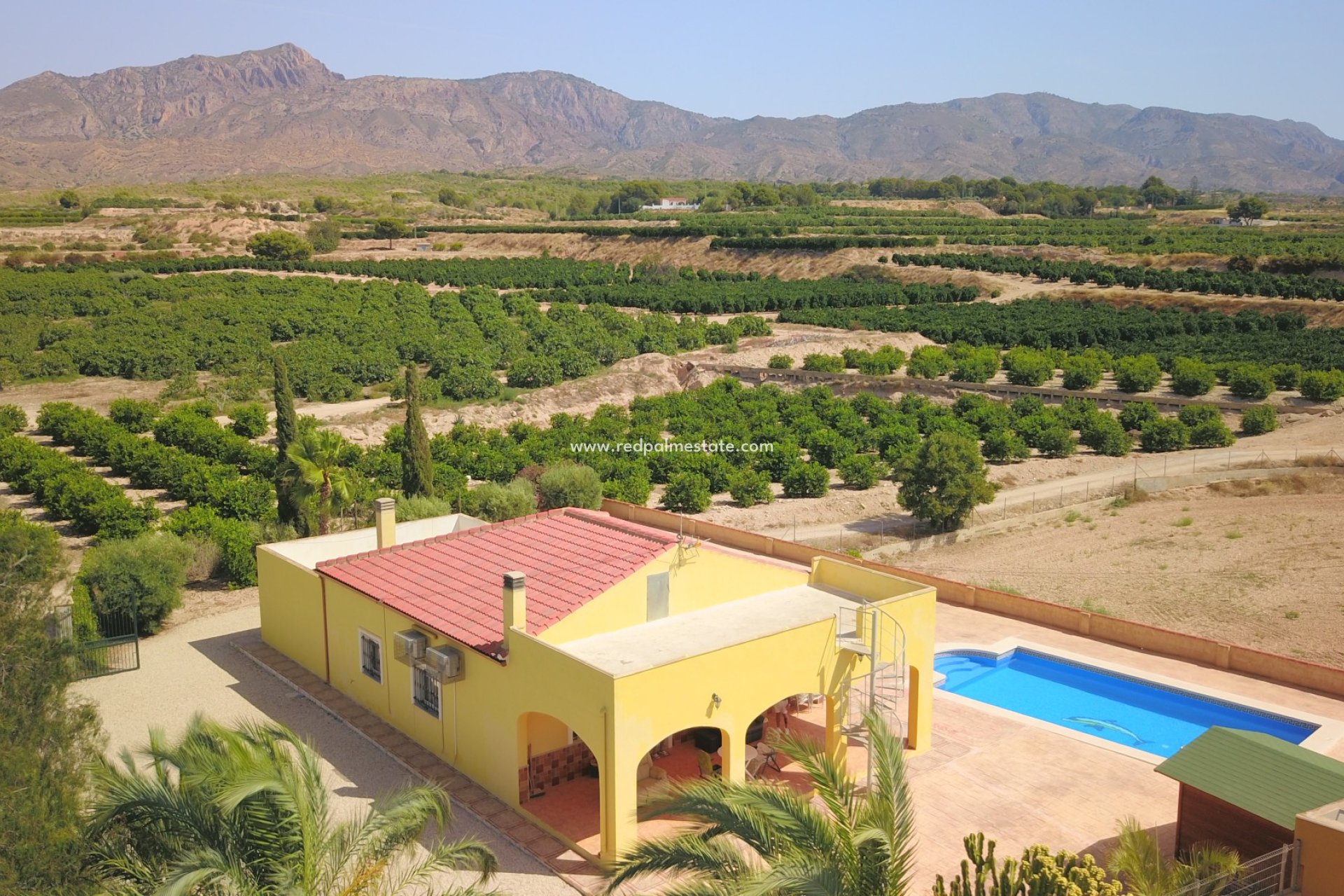 Revente - Finca / Propriété de campagne -
Albatera