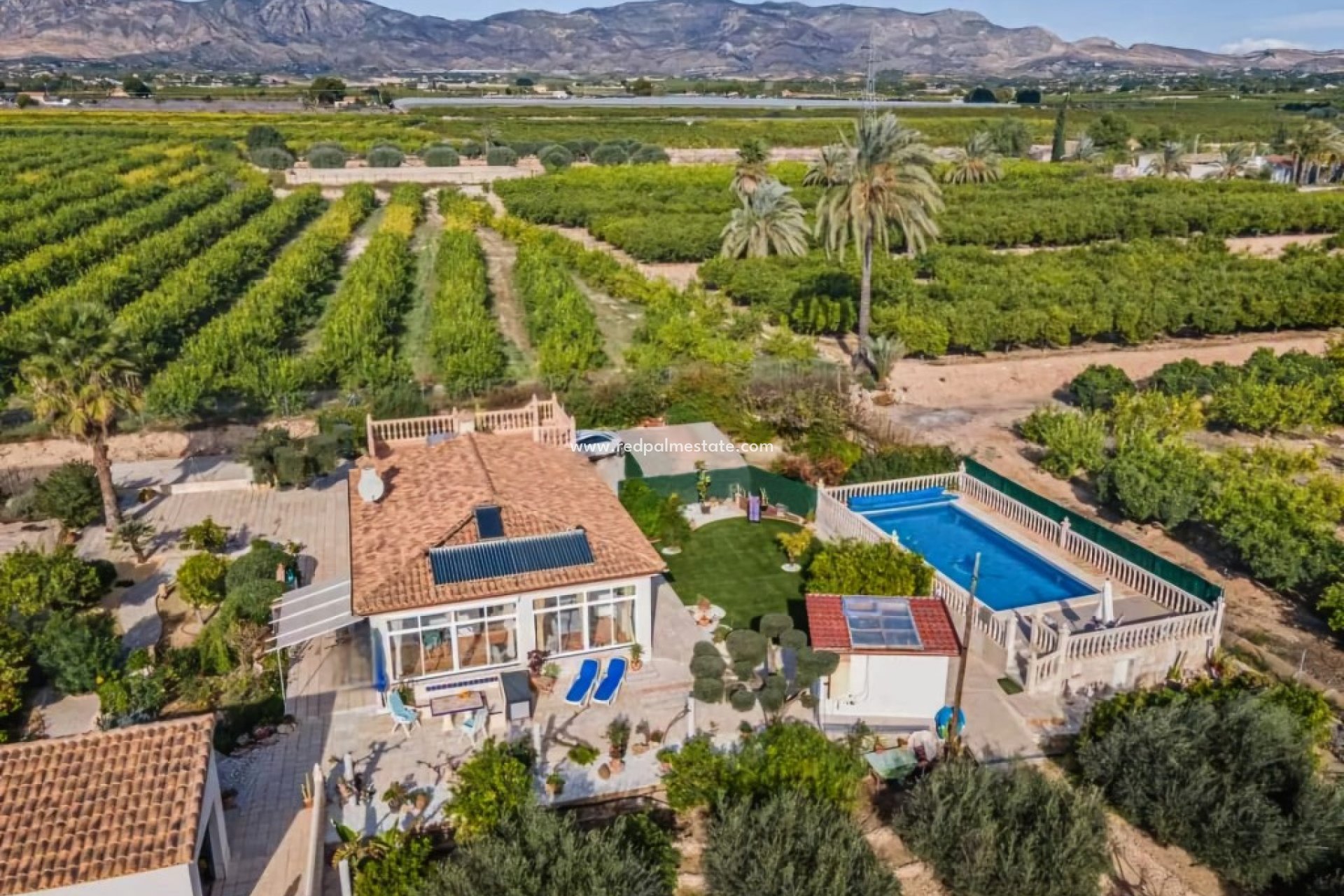 Revente - Finca / Propriété de campagne -
Albatera