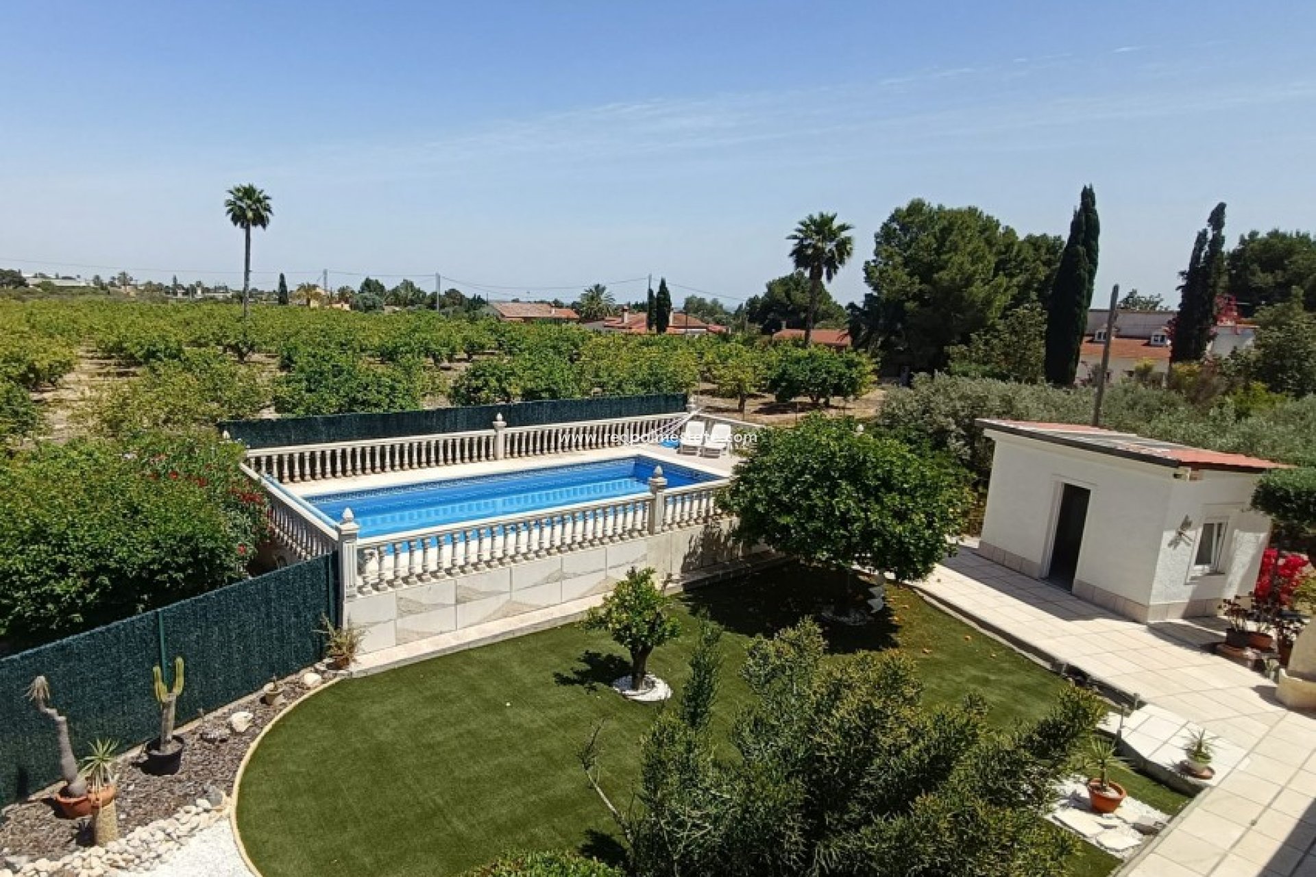 Revente - Finca / Propriété de campagne -
Albatera