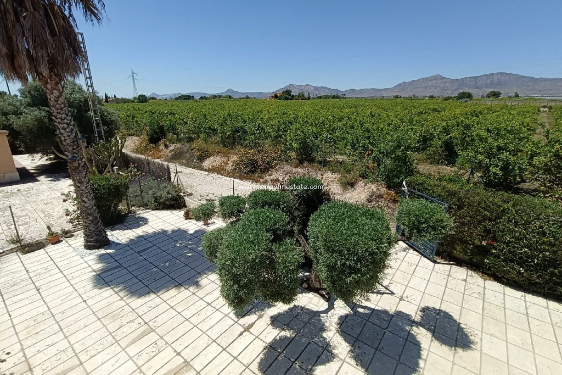 Revente - Finca / Propriété de campagne -
Albatera