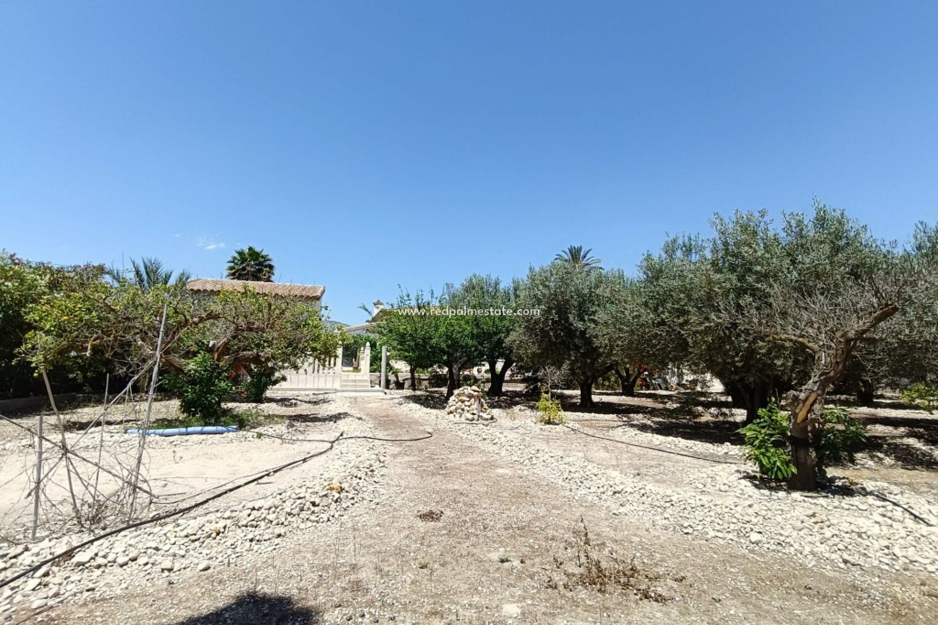 Revente - Finca / Propriété de campagne -
Albatera