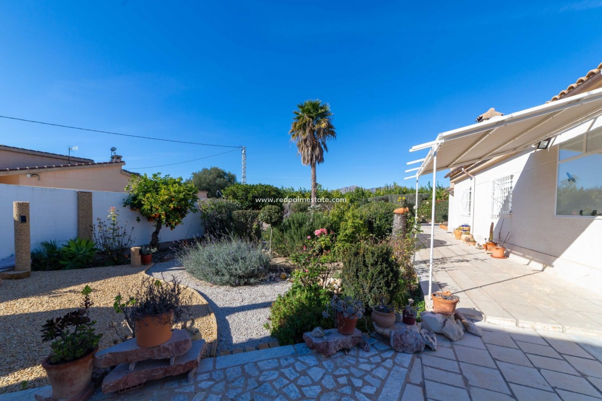 Revente - Finca / Propriété de campagne -
Albatera