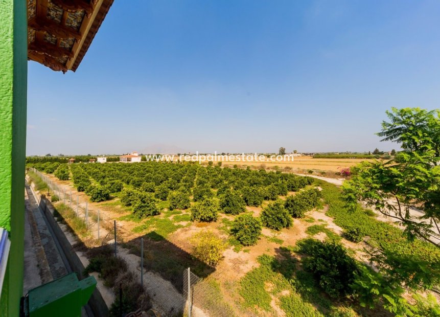 Revente - Finca / Propriété de campagne -
Almoradí - Camino De Catral