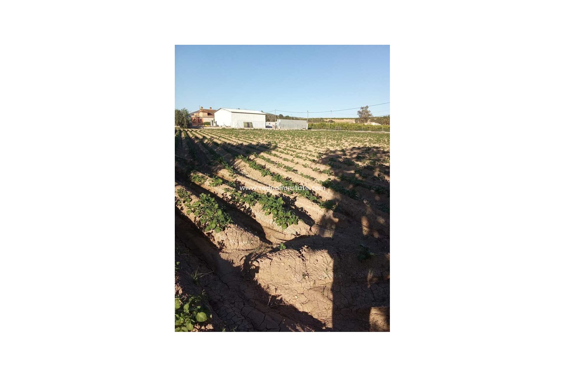 Revente - Finca / Propriété de campagne -
Arneva - LOS DESAMPARADOS