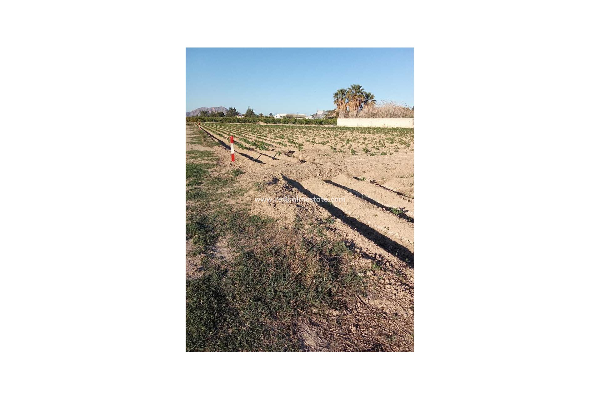 Revente - Finca / Propriété de campagne -
Arneva - LOS DESAMPARADOS