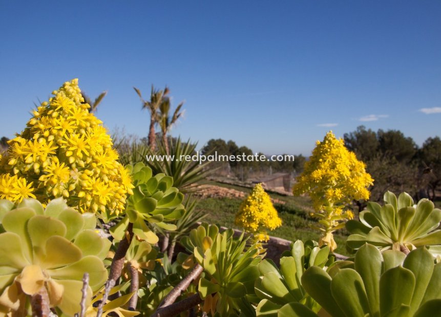 Revente - Finca / Propriété de campagne -
Benissa - Costa Blanca