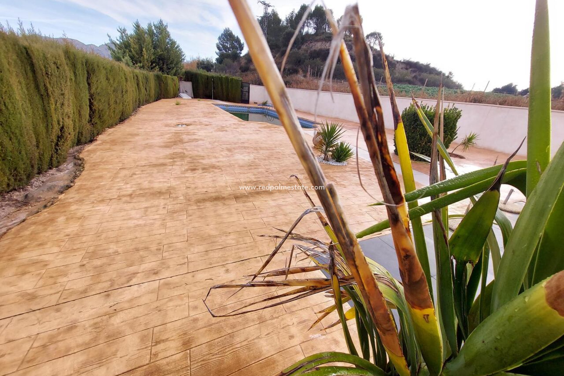 Revente - Finca / Propriété de campagne -
Calasparra - Inland