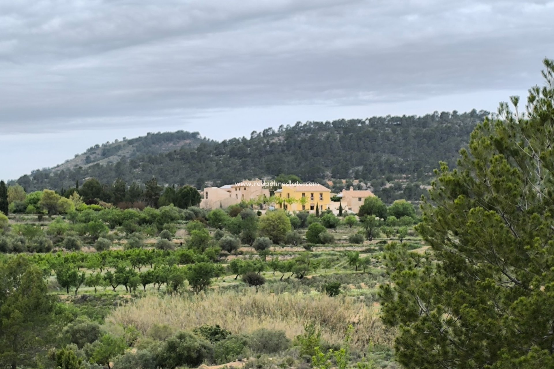 Revente - Finca / Propriété de campagne -
Casas del Senor - Inland
