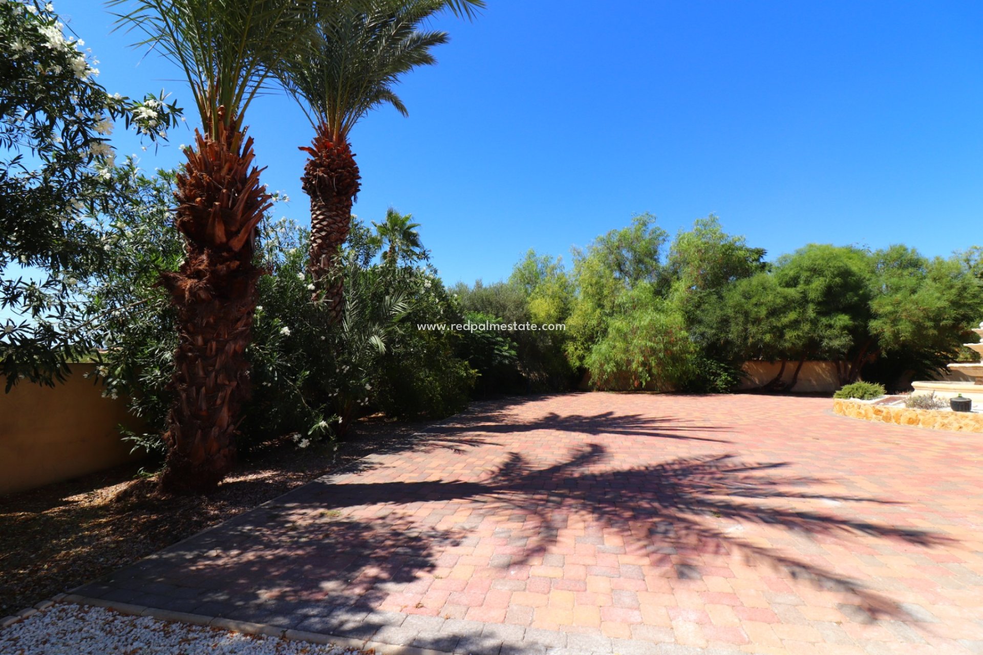 Revente - Finca / Propriété de campagne -
Catral