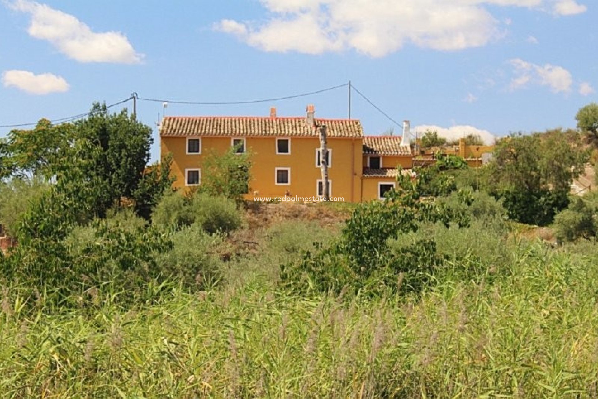 Revente - Finca / Propriété de campagne -
Cehegin