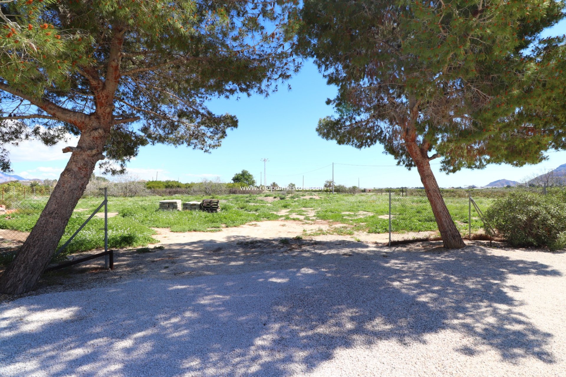 Revente - Finca / Propriété de campagne -
Cox - Callosa de Segura