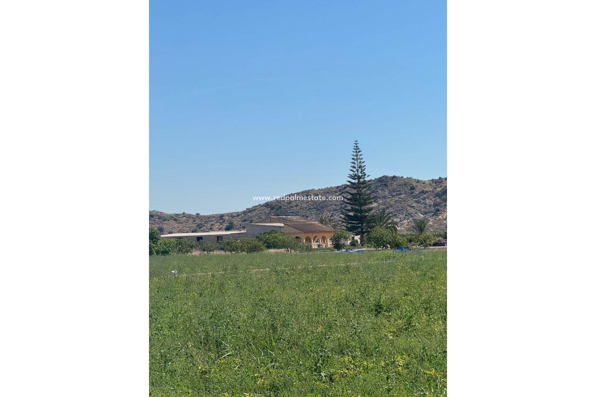 Revente - Finca / Propriété de campagne -
Cox - Granja de Rocamora