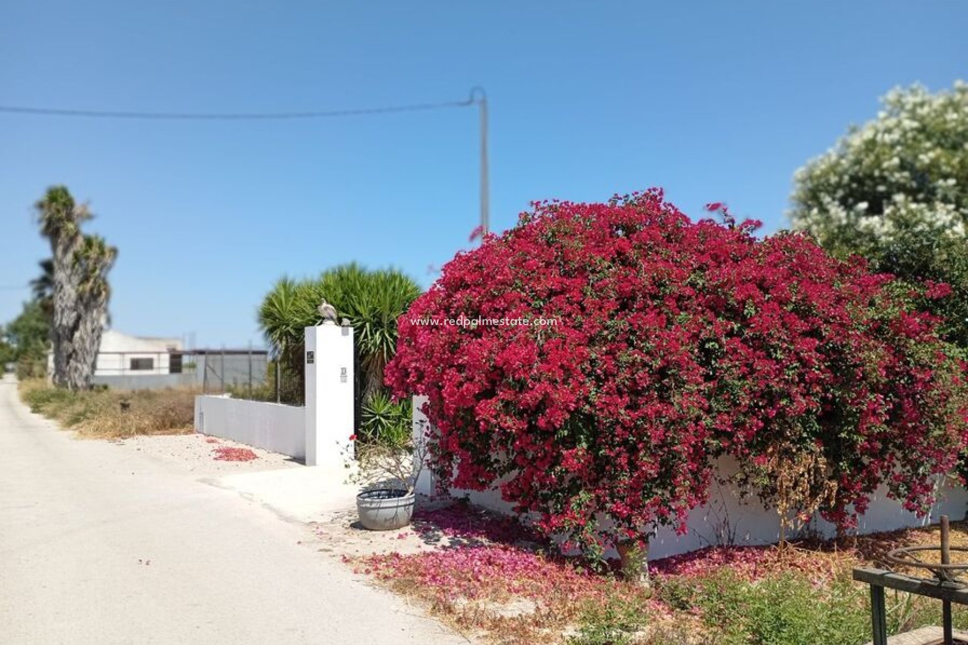 Revente - Finca / Propriété de campagne -
Daya Nueva - Costa Blanca