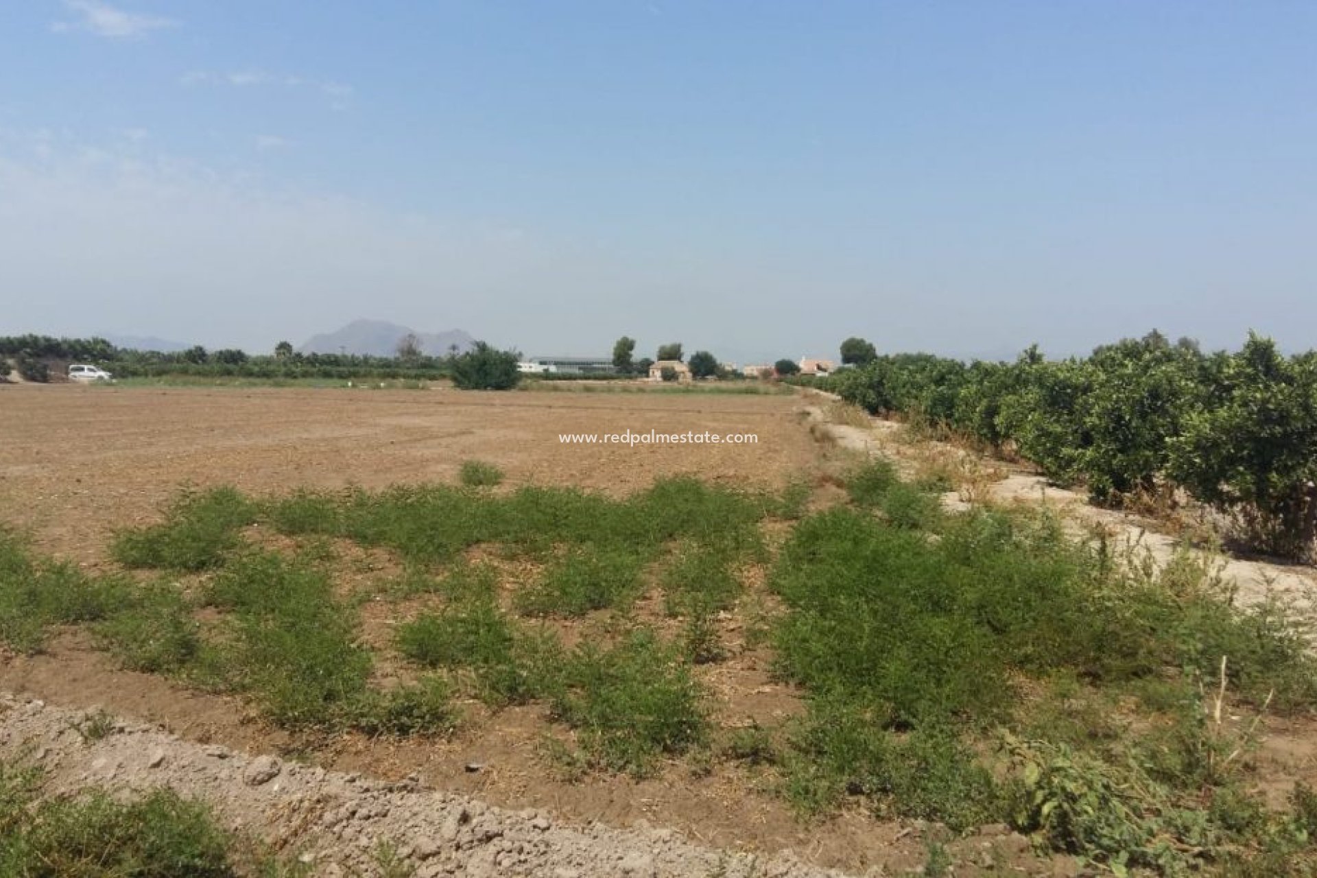 Revente - Finca / Propriété de campagne -
Daya Nueva - Costa Blanca