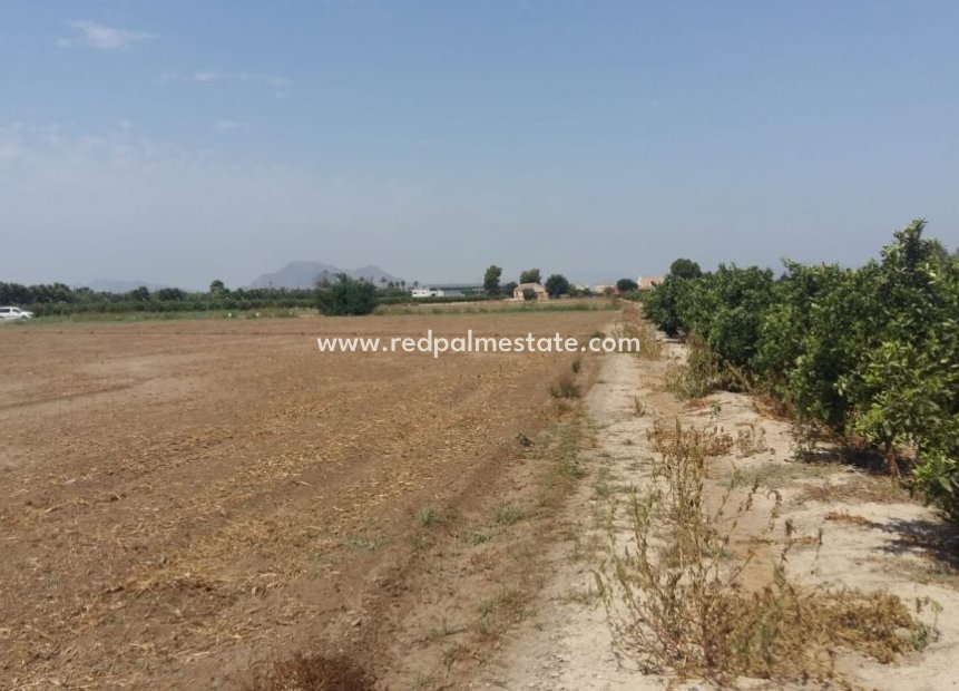 Revente - Finca / Propriété de campagne -
Daya Nueva - Costa Blanca