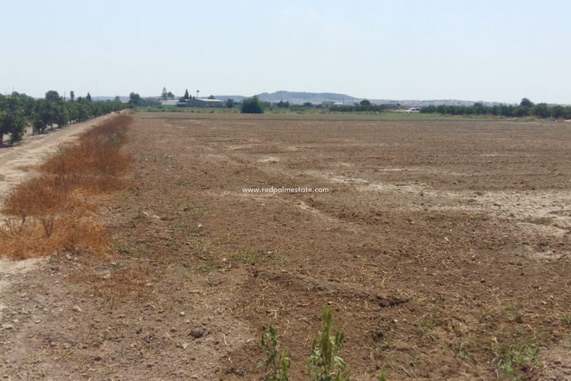 Revente - Finca / Propriété de campagne -
Daya Nueva - Costa Blanca