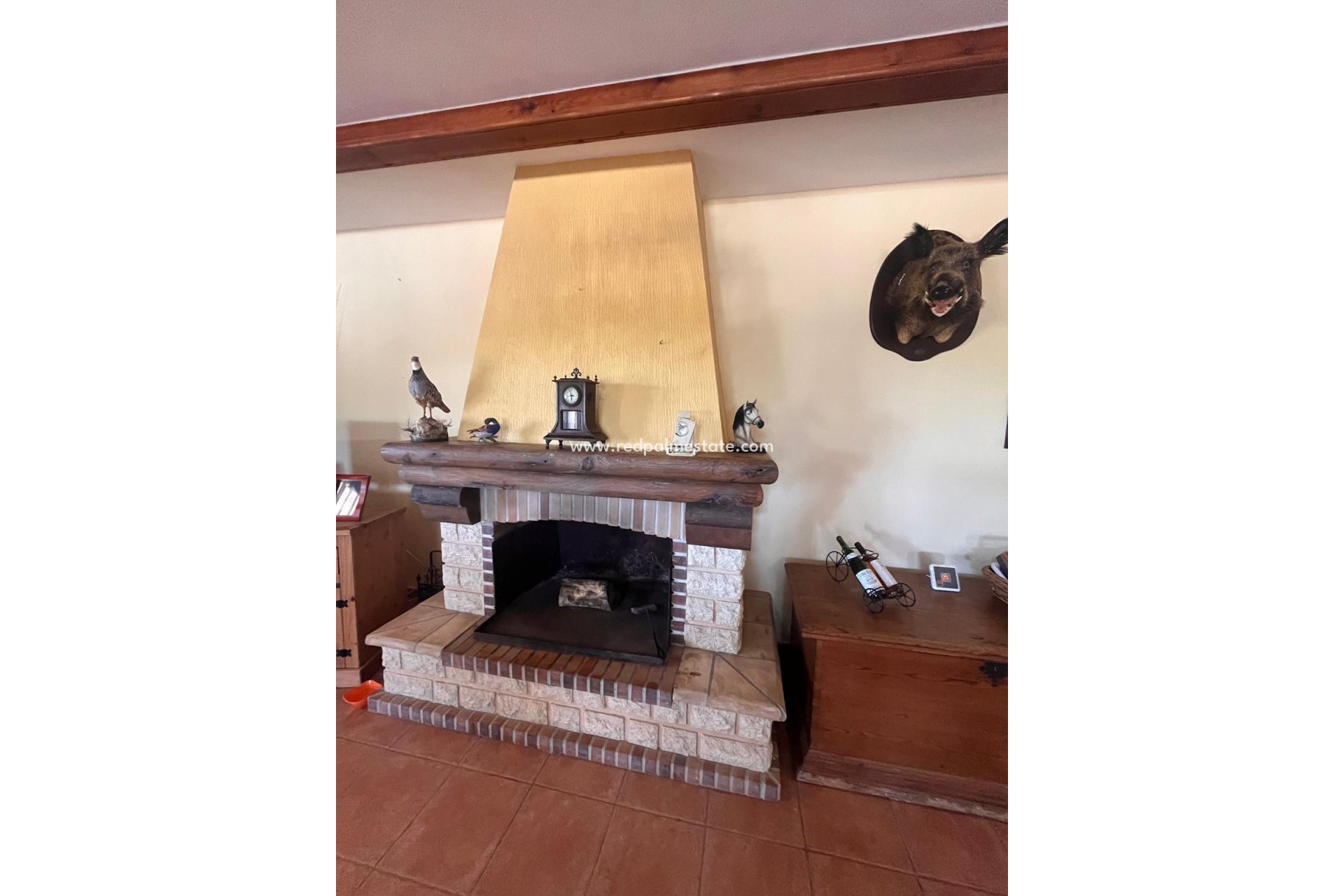 Revente - Finca / Propriété de campagne -
Daya Nueva - La Bodega