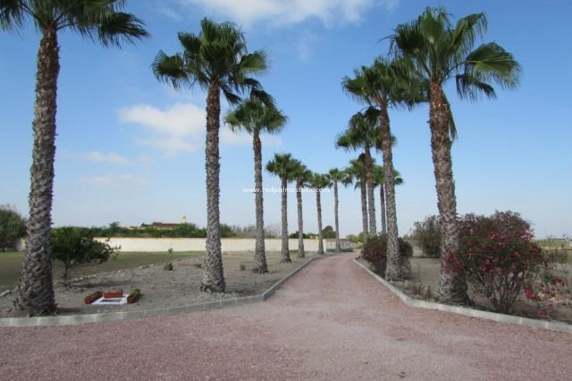 Revente - Finca / Propriété de campagne -
Dolores - Comunidad Valenciana